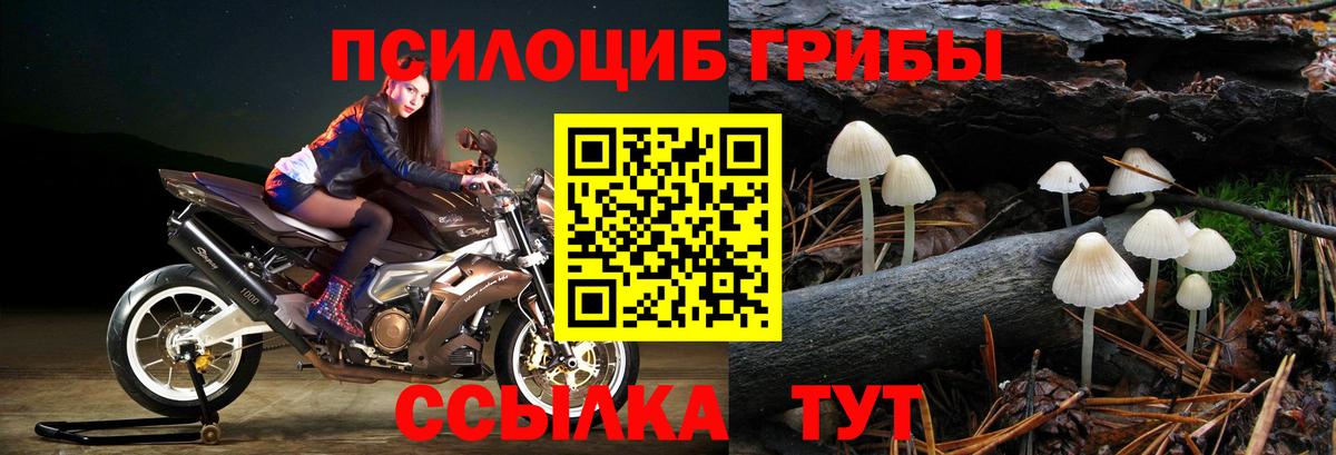 Галлюциногенные грибы Magic Shrooms  Вход с VPN  где купить   Алексеевка 